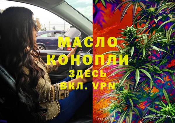 индика Горно-Алтайск