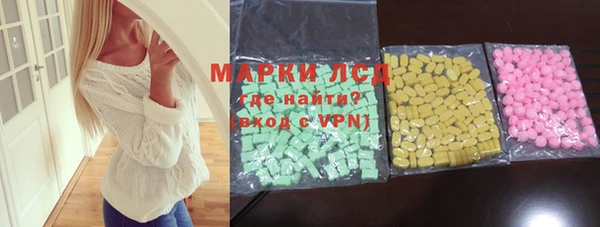 индика Горно-Алтайск