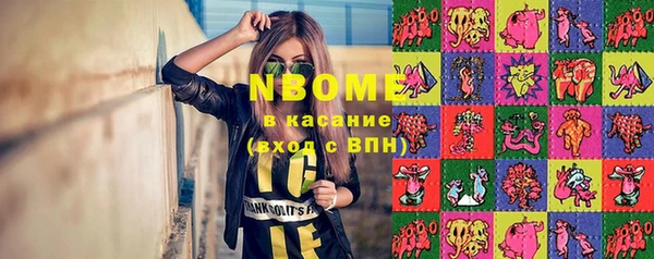 индика Горно-Алтайск