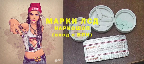 индика Горно-Алтайск