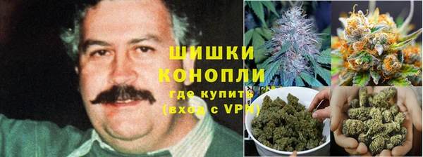 хмурый Горняк