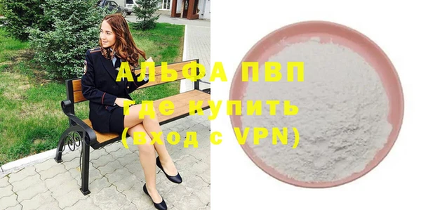 индика Горно-Алтайск