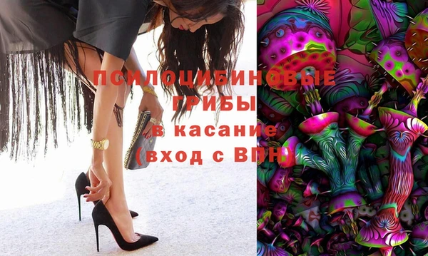 индика Горно-Алтайск