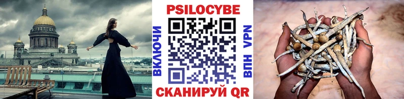 Галлюциногенные грибы ЛСД  Купить где  Зубцов 